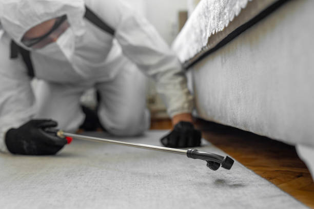 Professional Bed Bug Control technician working in Golden Glades, FL