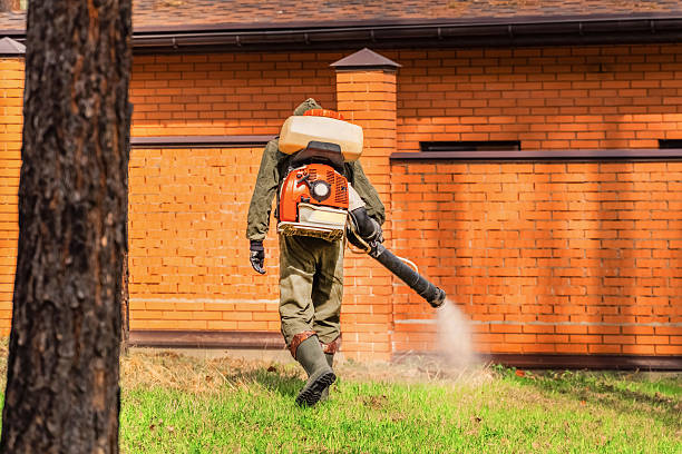 Trusted Termite Control service in Golden Glades, FL - Nex Pest Control